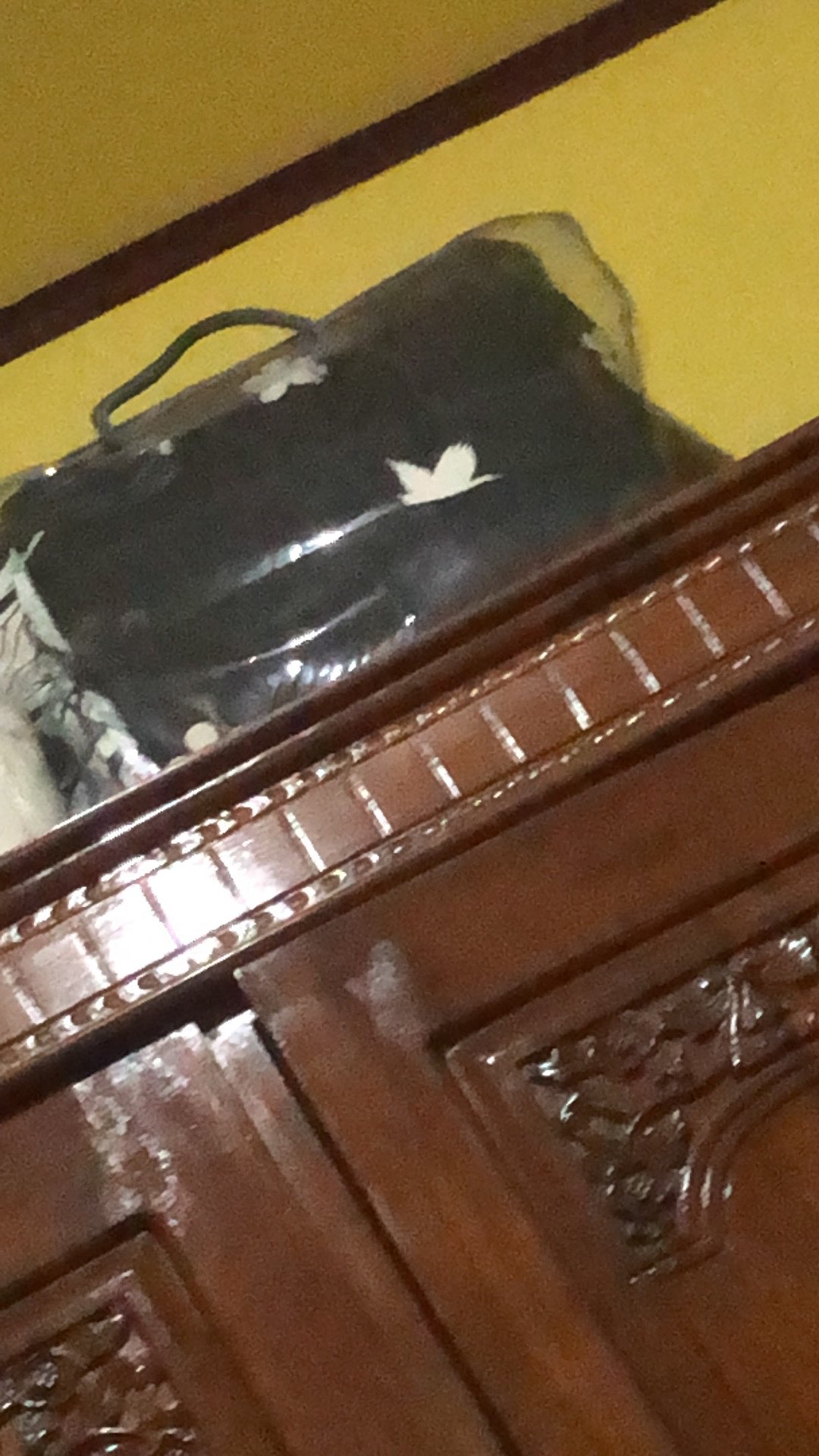 Khusus Anteraja Hanya 1 Kg Bedcover Fata Black Forest 180x200