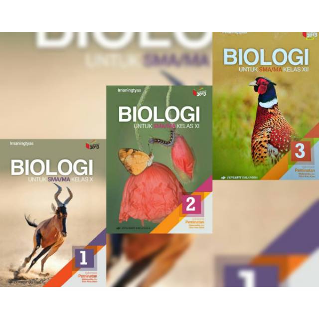 Download Buku Biologi Kelas 11 Kurikulum 2013 Erlangga Berbagai Buku