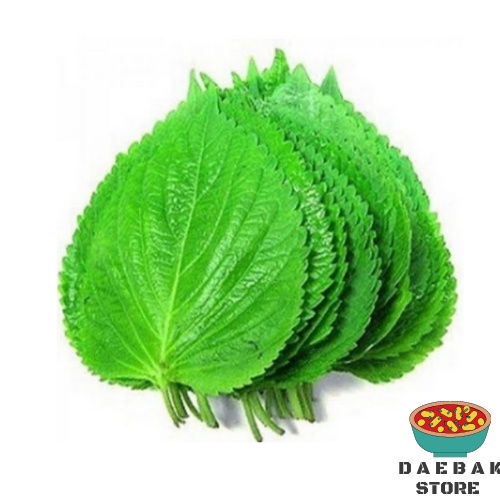 

Perila leaf fresh (Daun wijen muda) 100 Gr Bungkusan Bbq seperti K-Drama