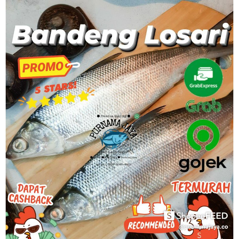 

Ikan Bandeng Losari Fresh 1kg