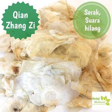 

10 G 50 GR 100 GRAM QIAN ZHANG ZHI ZI DAUN KERTAS SERIBU