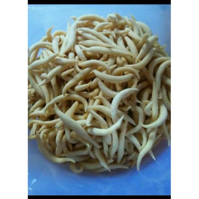 

Kue Gabus keju 1 Kg