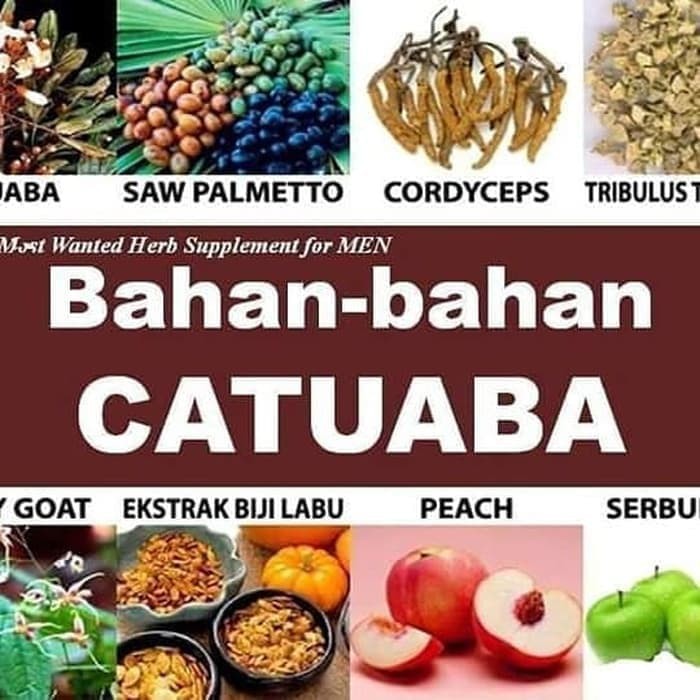 original BRAZILIAN CATUABA Asli Produk malaysia Bukan Caturex ampuh