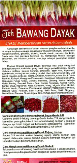 Bawang Dayak Kering Asli Kalimantan 1 Kg Paling Murah Shopee Indonesia