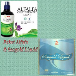 Paket Alfafa + Seagold