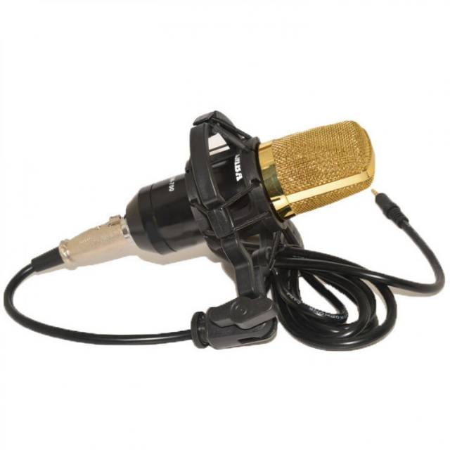 Microphone BM700 Mikrofon Kondenser Studio dengan Shock Proof Mount