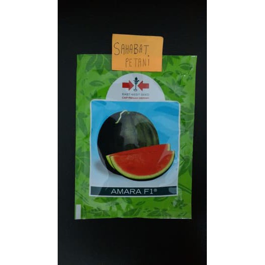 Benih Semangka Non Biji Hibrida Amara 25 Butir