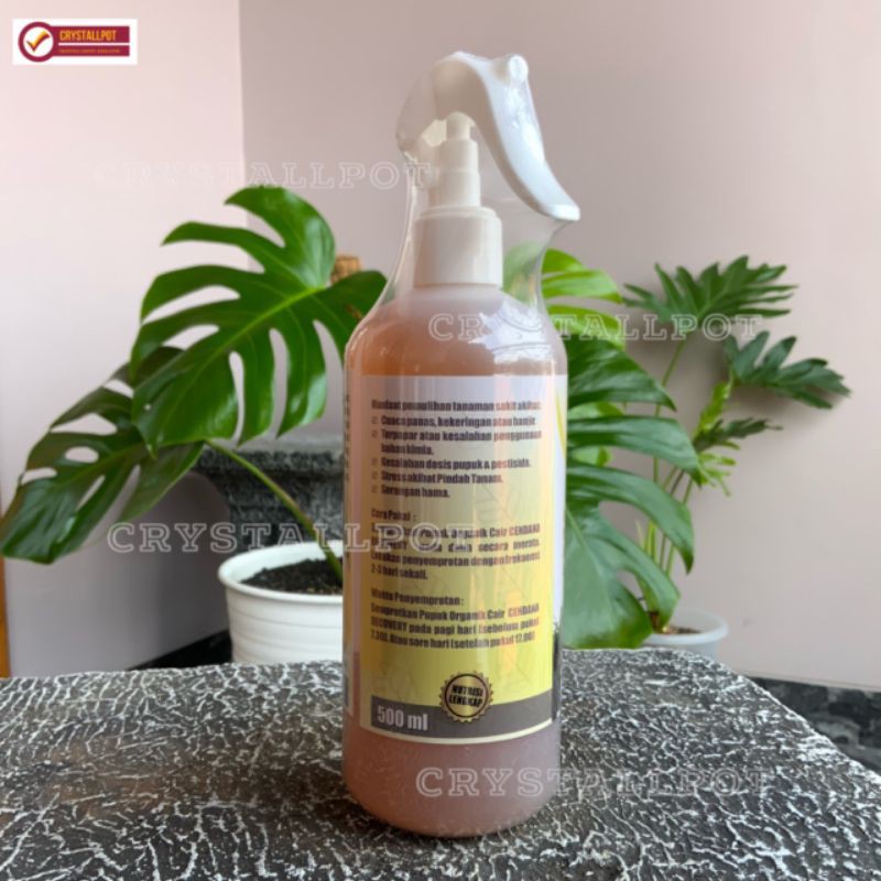 pupuk cair organik cendana recovery 500ml - pupuk anti stres tanaman