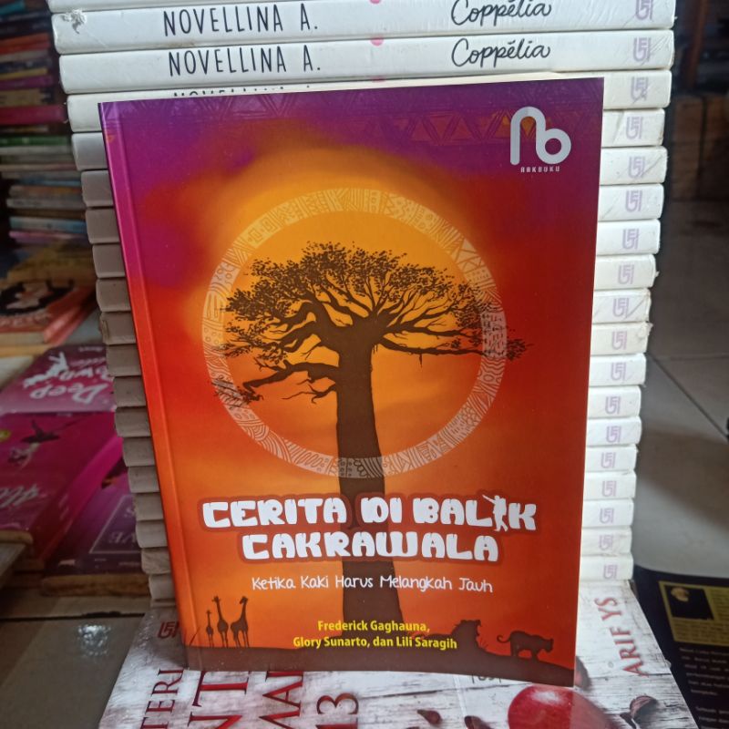 obral buku murah Novel best seller // remaja // wattpad // fantasi // sastra // fiksi // non fiksi // ilana Tan // Ally carter part 7-Cerita cakrawala