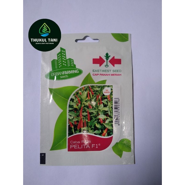 BENIH CABAI RAWIT PELITA F1 50 BUTIR
