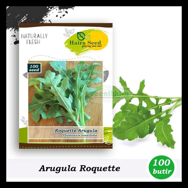 Benih-Bibit Arugula Roquette (Haira Seed)