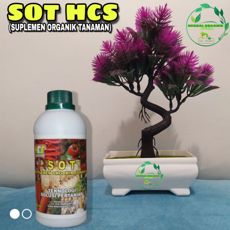 SOT HCS Suplemen Organik Tanaman pupuk organik cair pupuk buah pupuk penyubur tanaman