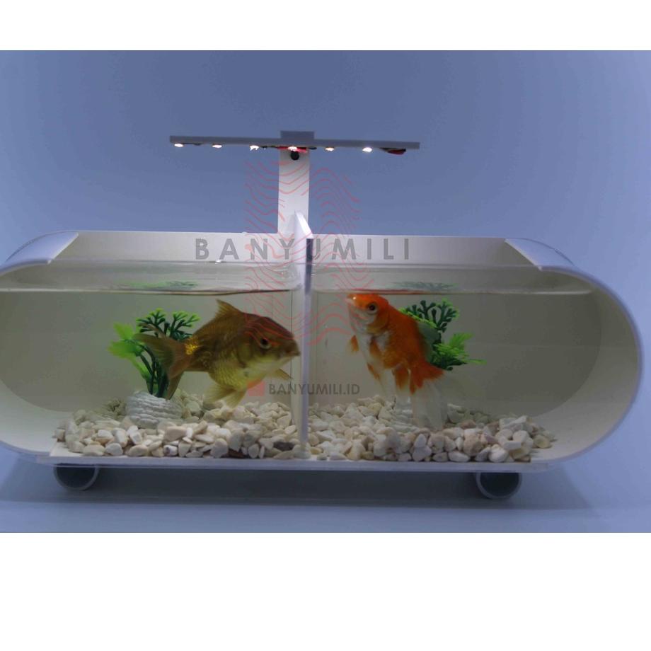 ❀ aquarium / aquarium mini / aquarium mini + sekat / aquarium akrilik + sekat ♪