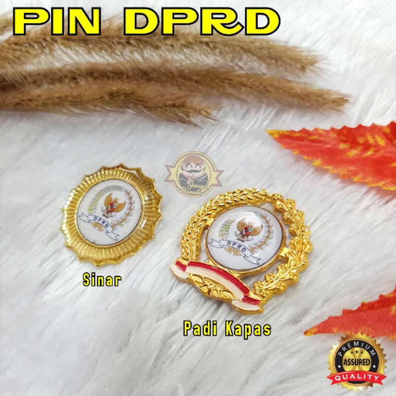 PIN DPRD