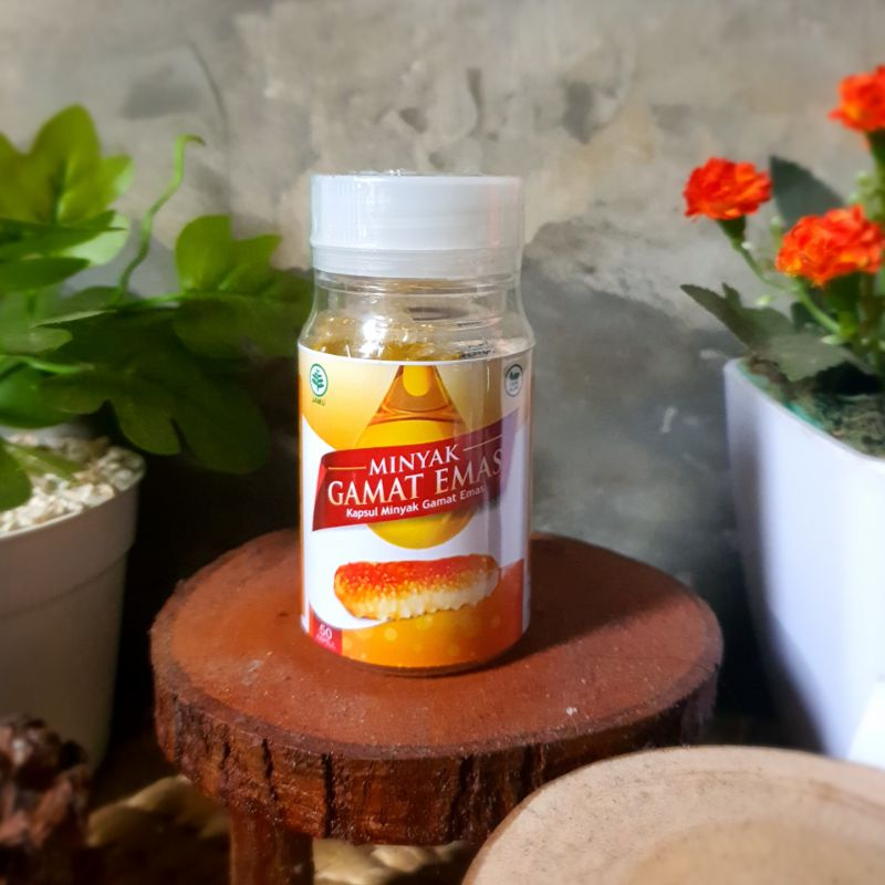 Minyak Gamat Kapsul Minyak Gamat Emas (Gold Oil) Original Multi Khasiat
