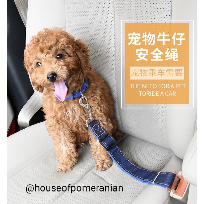 dog car seat belt tali pengaman mobil anjing kucing leash travelling