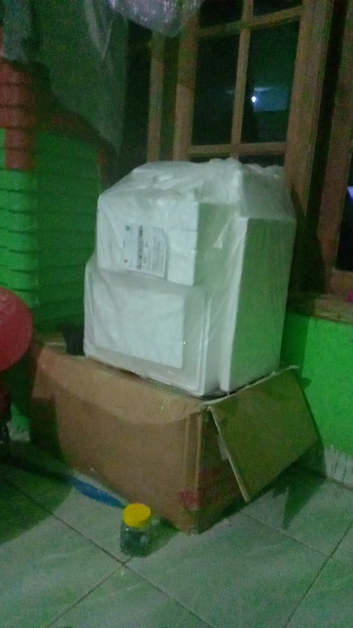 Styrofoam Box Bm Small / Dinarbox / Box Bm Uk 330 X 215 X 235 Mm / Sterofoam Murah