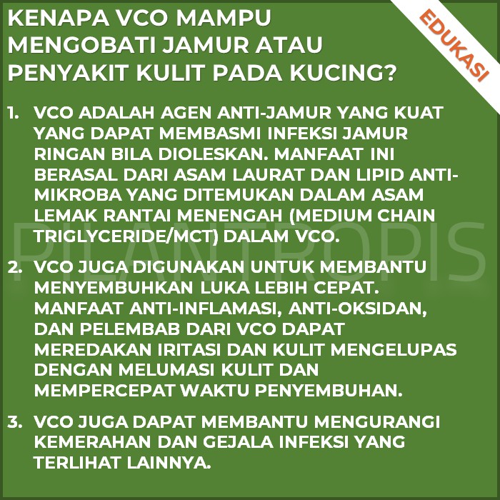 MINYAK KELAPA VCO VIRGIN COCONUT OIL SPRAY OBAT ANTI JAMUR GATAL SCABIES KUCING KELINCI ANJING AMPUH