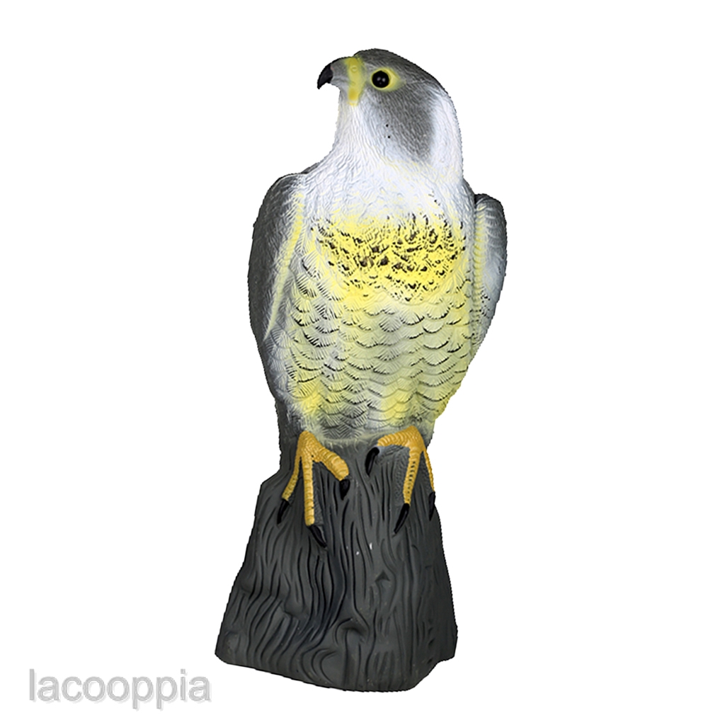 45++ Burung peregrine falcon terupdate