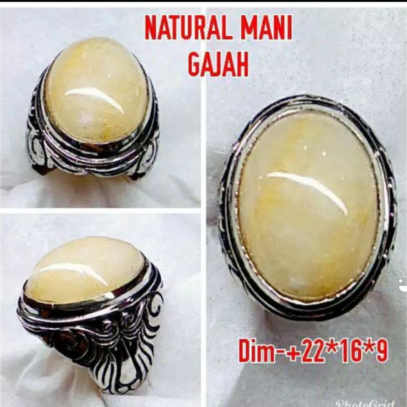 NATURAL BATU AKIK MANI GAJAH JAMINAN ASLI NATURAL