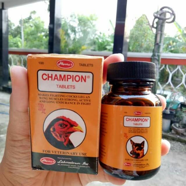 Champion / vitamin ayam / vitamin ayam siap adu