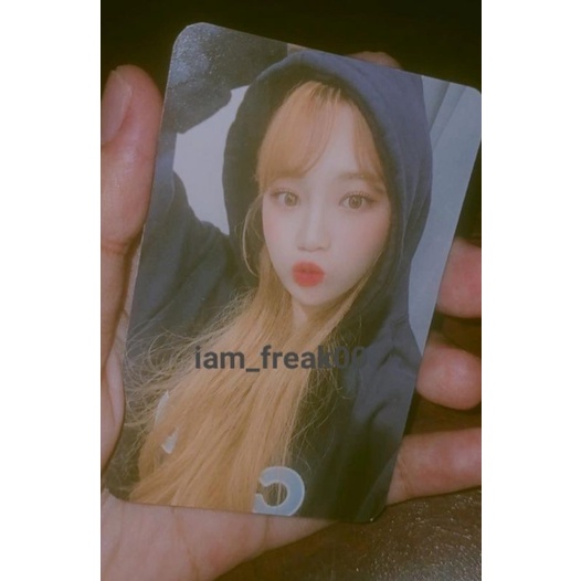 PC photocard chaewon hoodie navy.