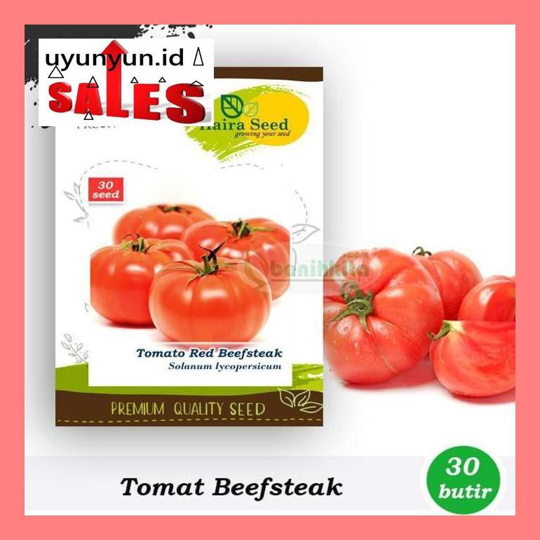 

S504Yts Benih-Bibit Tomat Red Beefsteak (Haira Seed) S50F40Dfjt