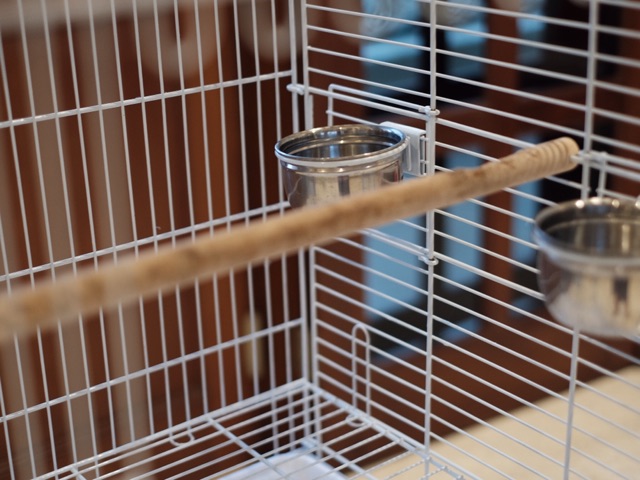 Kandang Burung Cavea Bird Cage Bekas Kondisi Masih Seperti Baru