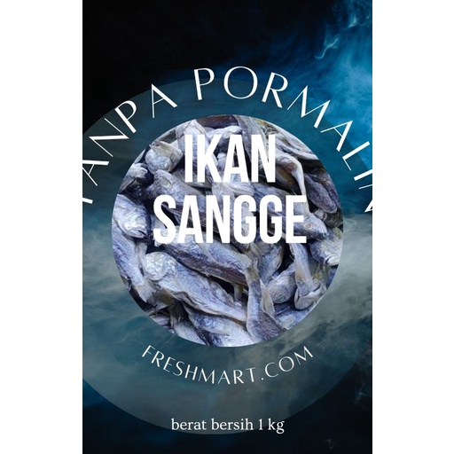 

GROSIR IKAN ASIN KEPALA BATU ATAU SANGGE KWALITAS TERBAIK