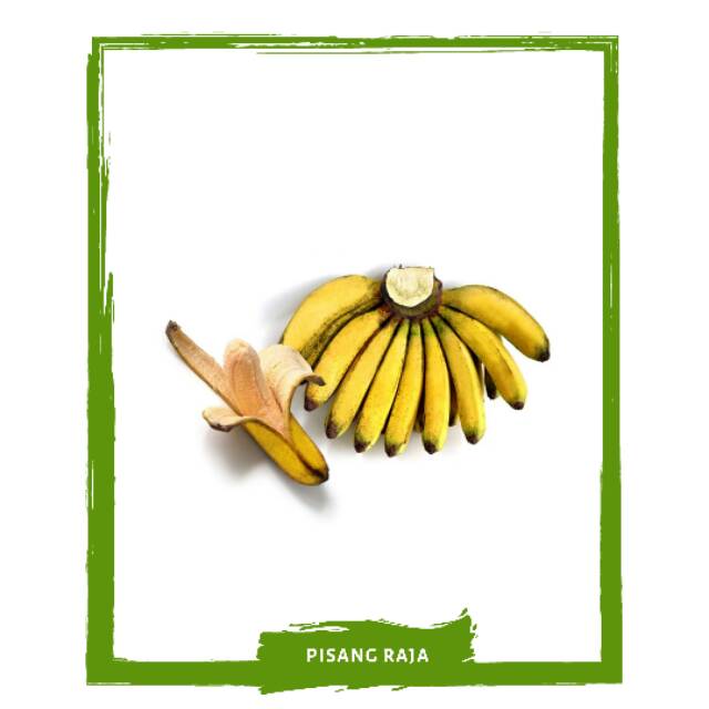 

Pisang Raja Bulu / Buah Buahan Segar By Mallahrizwa