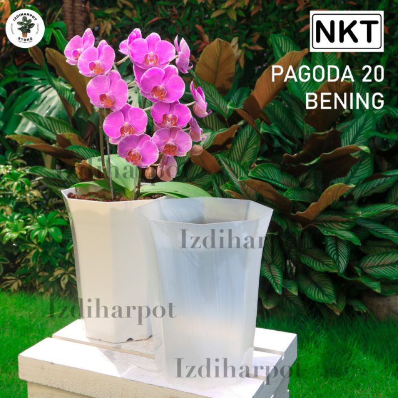 Pot bunga tanaman nkt pagoda 20 bening transparan - PAGODA 20 BENING