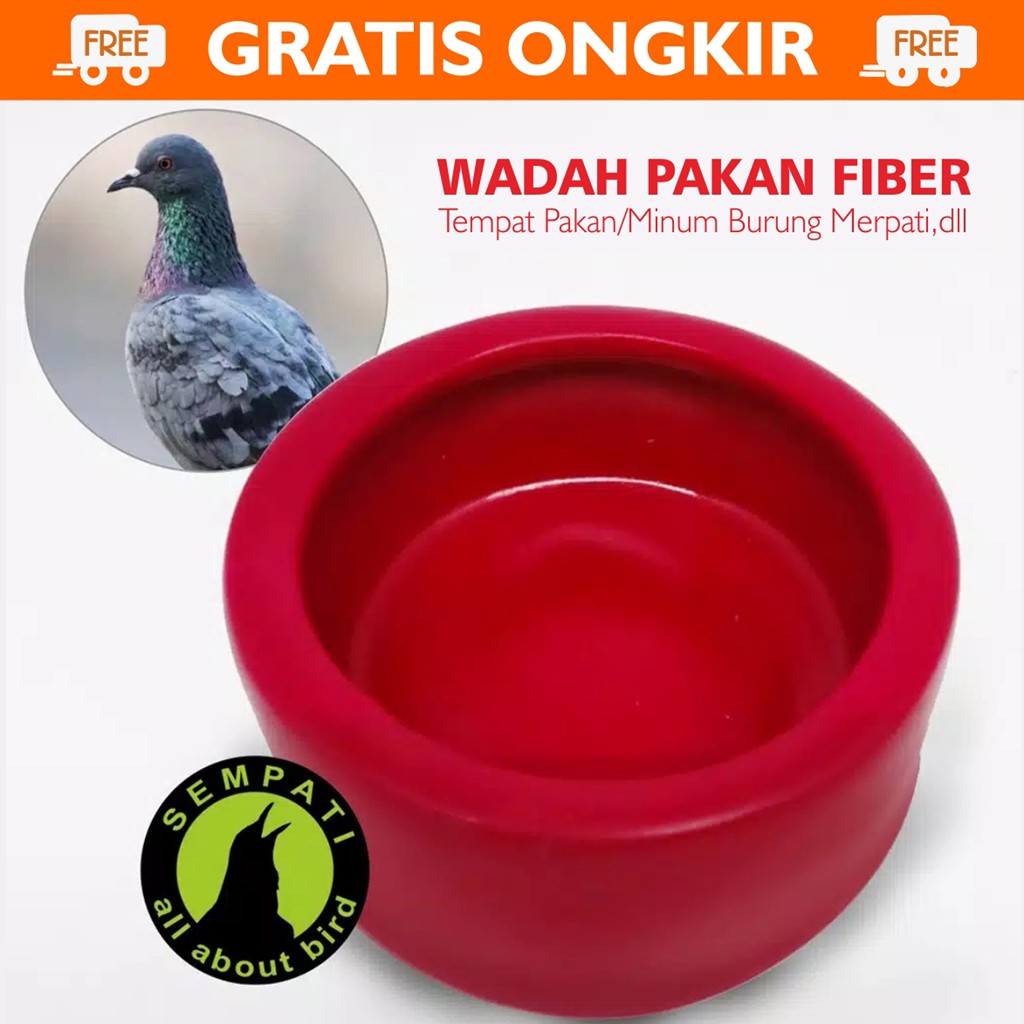 Harga Tempat Makan Burung Terbaik Hobi Koleksi Juli 2021 Shopee Indonesia