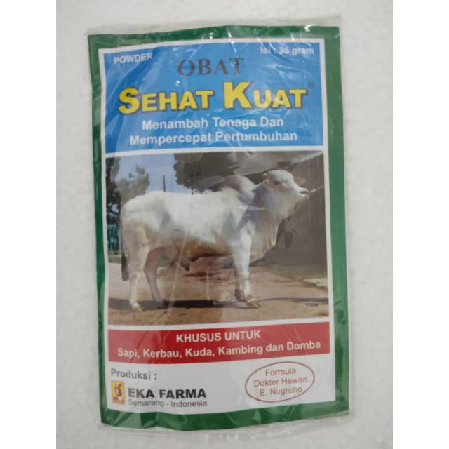 Obat untuk kerbau petarung