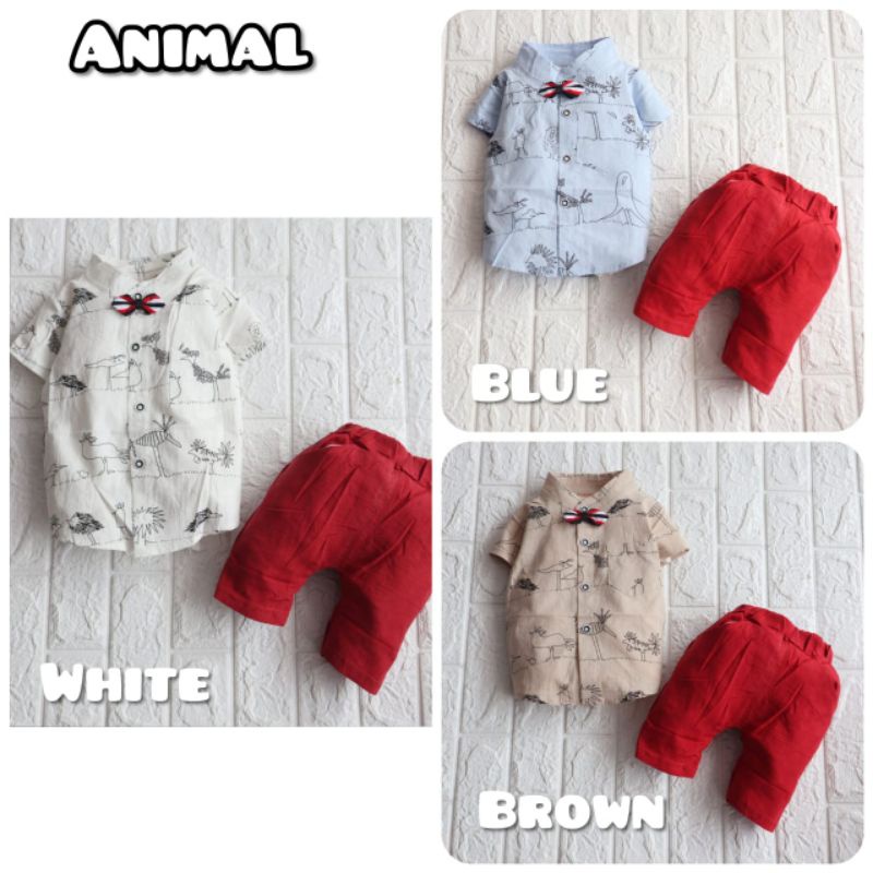 Setelan Baju Kemeja Import Celana Anak Cowok Motif Usia 3 bulan s.d  3 Tahun