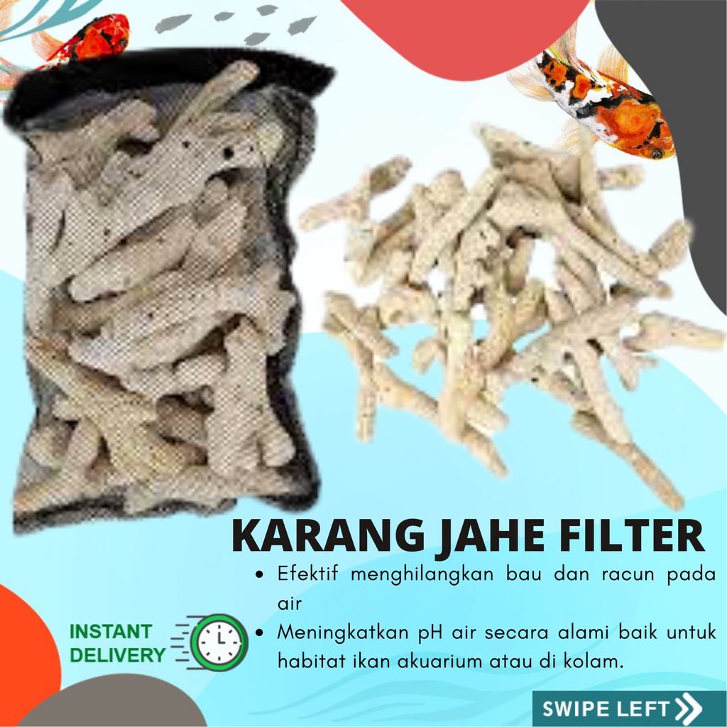 KARANG JAHE FILTER AQUARIUM AQUASCAPE BATU KARANG JAHE FILTER KOLAM KOI IKAN HIAS PENINGKAT PH AIR K