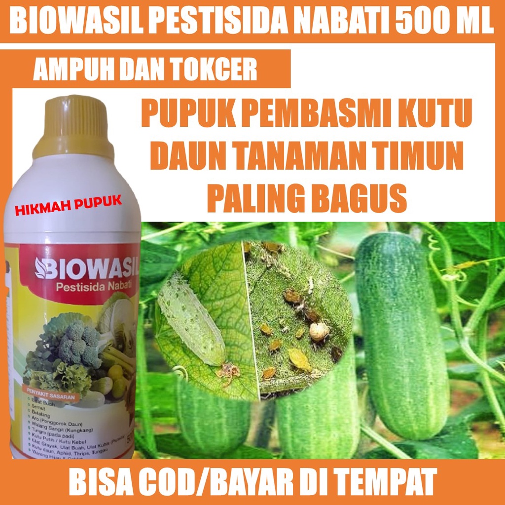 (COD) BIOWASIL Pupuk Pembasmi Kutu Daun Pada Tanaman Mentimun Paling Bagus - Obat Hama Kutu Daun/Kut