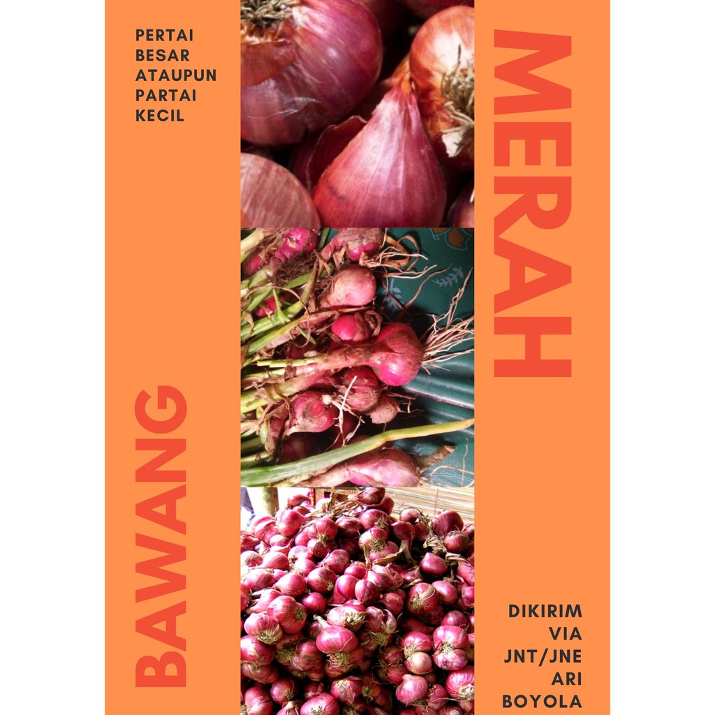 

BAWANG MERAH SEGAR