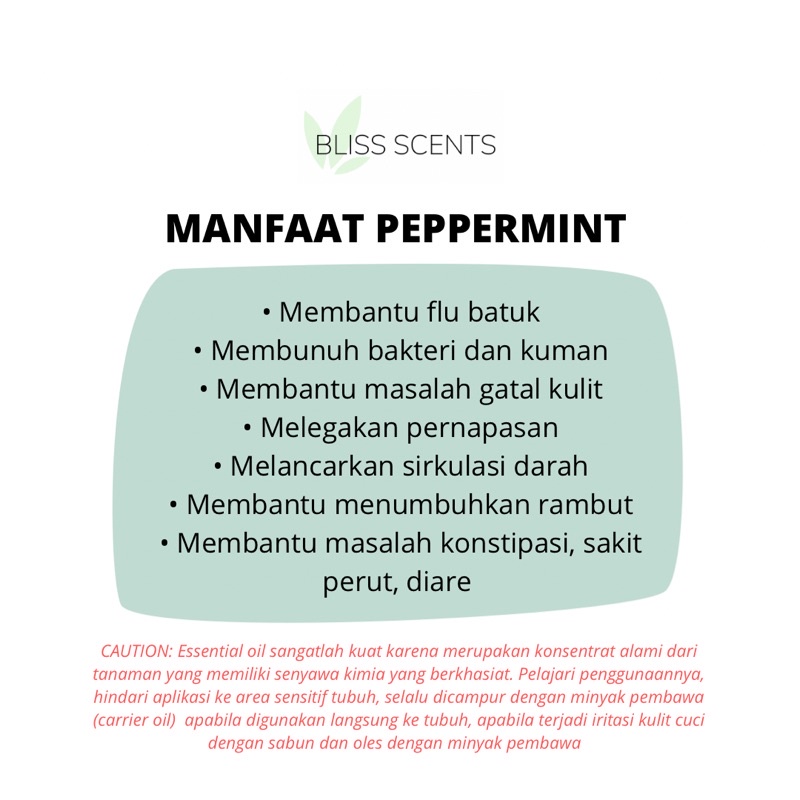 BLISS SCENTS Peppermint Essential Oil 100% Murni Therapeutic Grade Aromatherapy Aromaterapi by Bliss Scents