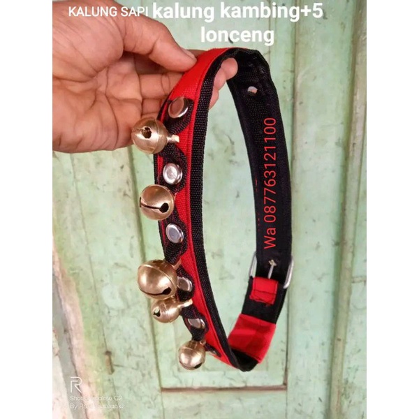 kalung kambing domba lima klintingan