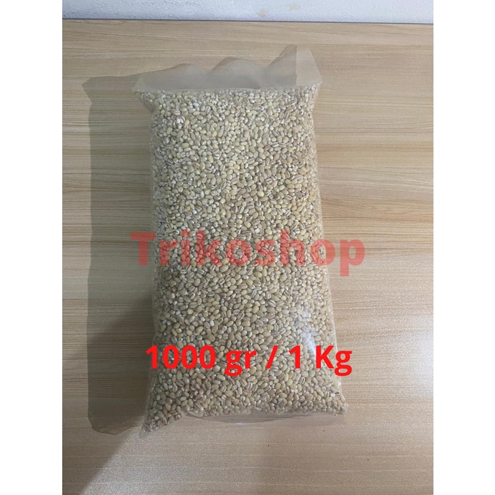 Jali Jali / Barley / Jelai / Hanjeli Import - 1000 gr / 1 Kg