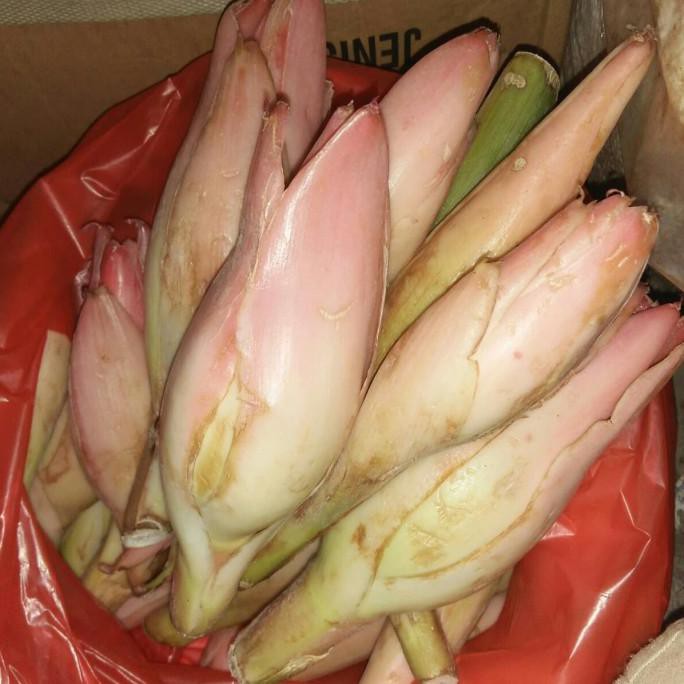 

Big Sale Kincung / kecombrang / Rias (1Kg) Cuci Gudang Awal Tahun