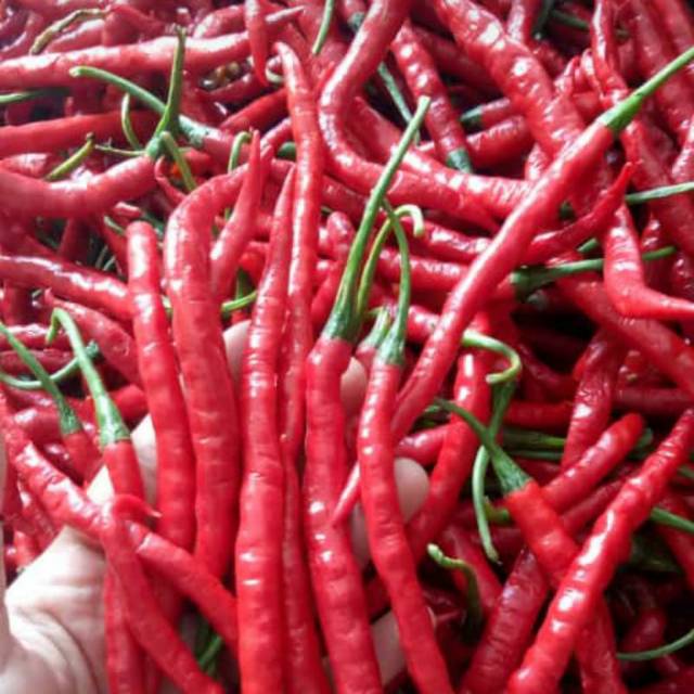 

Cabe merah kriting - 250gr