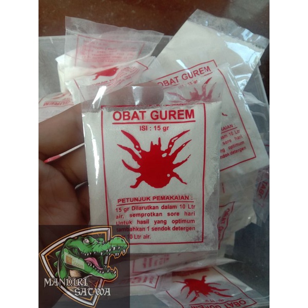 Obat gurem pembasmi gurem semut