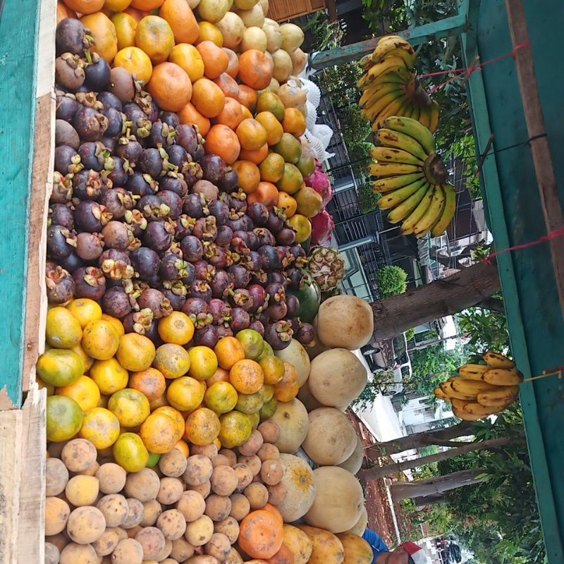 

anekabuahsegarsemangka