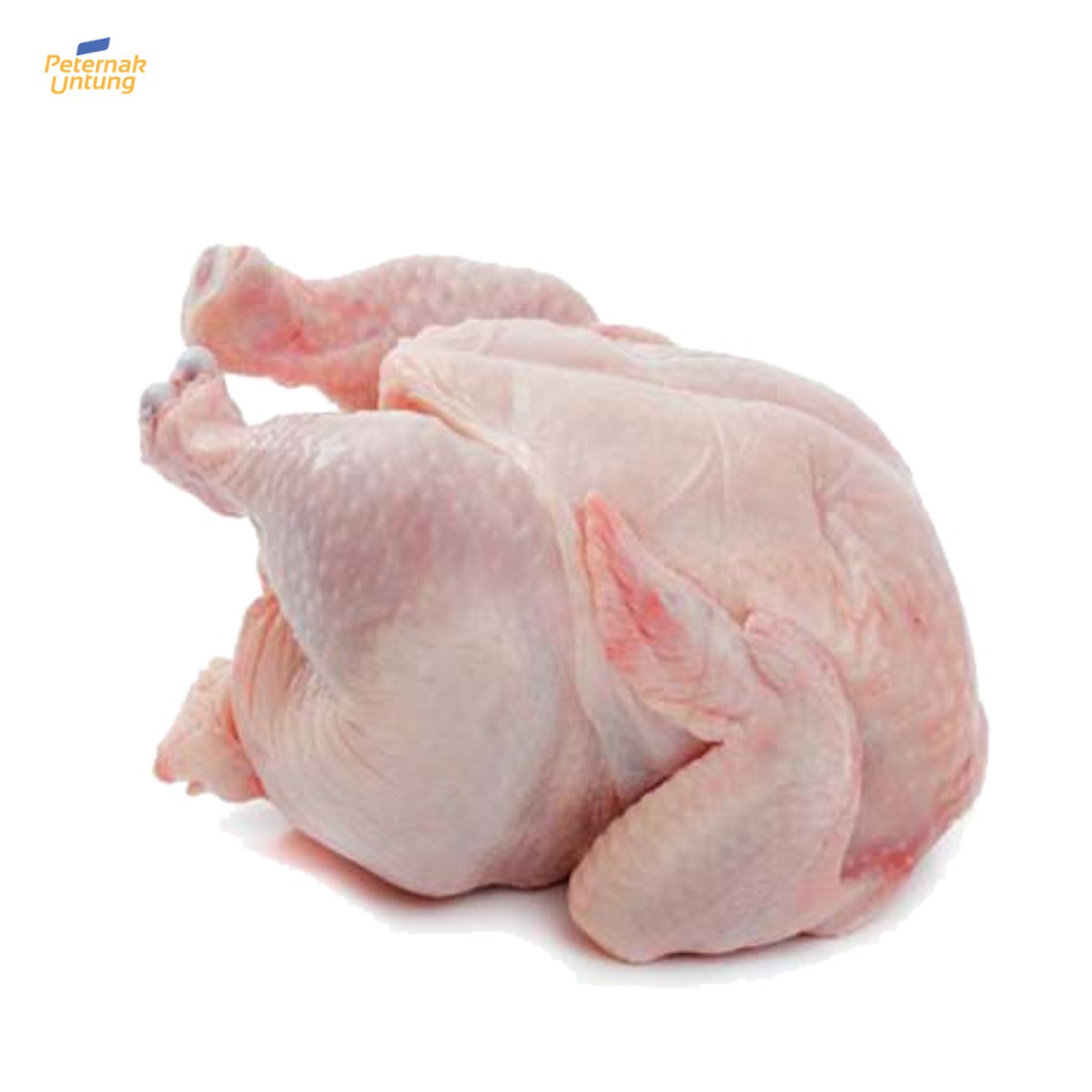

Ayam Karkas 1.1 - 1.2 kg (Big Size)