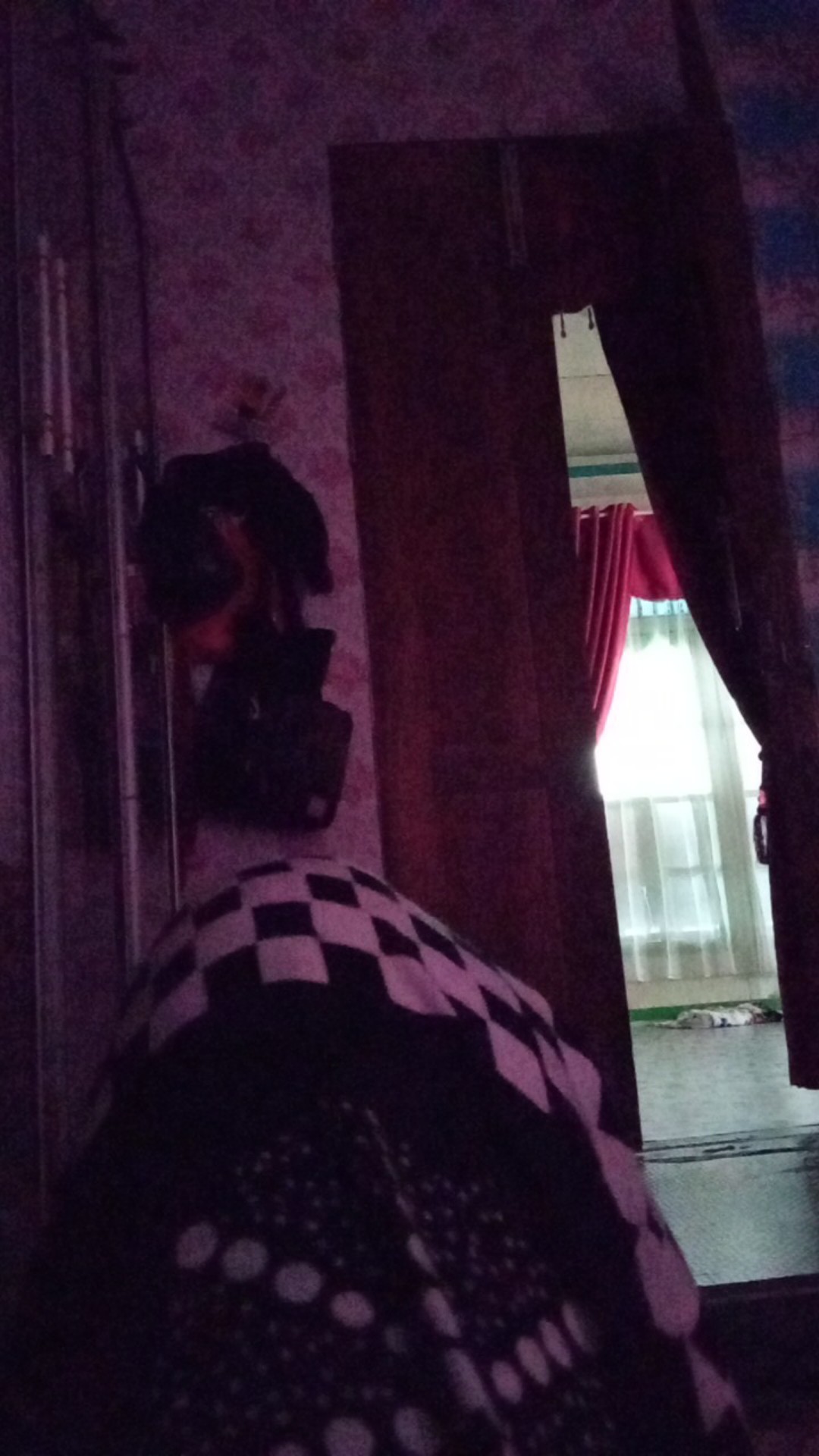 Tempat Bawang Lombok Hijau (tbl 1051 Golden Sunkist)