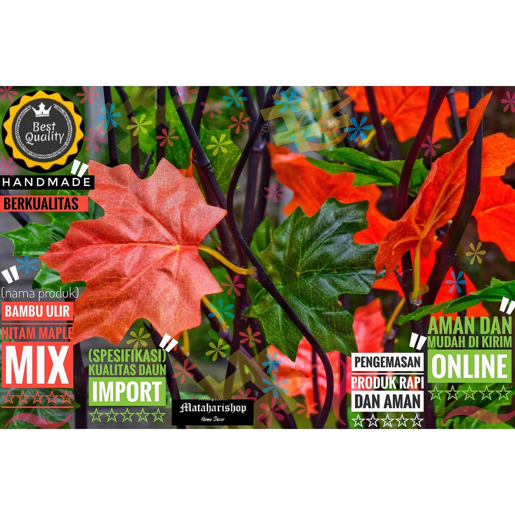 bambu ulir hias 25 Btg Bambu Ulir Hitam Maple Mix 190cm (Tanpa Pot)