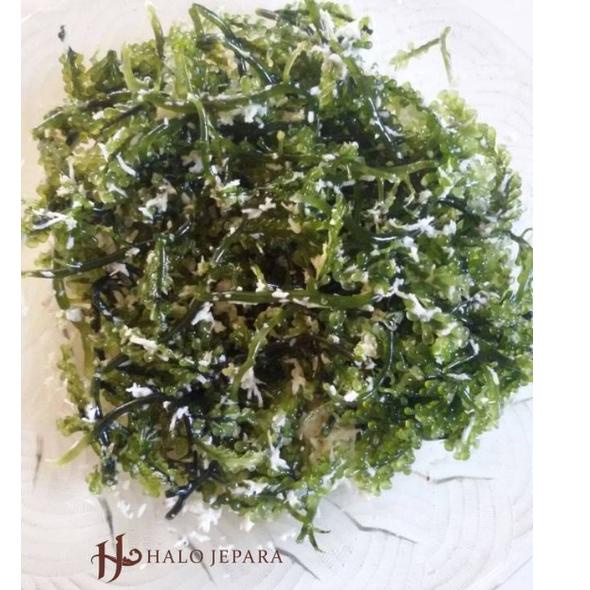 

(jbdm -6) Anggur laut 1 kg/ Latoh 1 kg / Lawi-lawi / Bulung Boni / Umi Budo / Green Caviar ✹ 59
