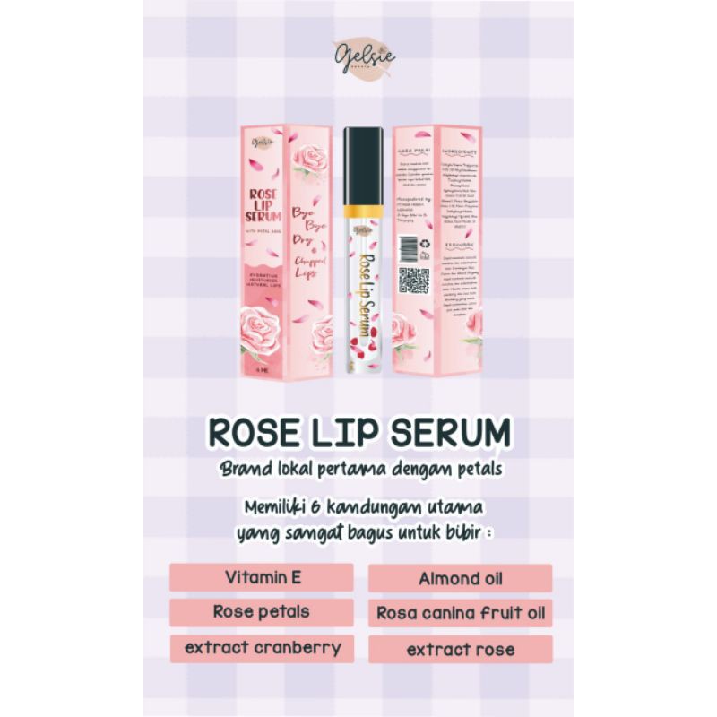 GELSIE 2 IN 1 LIPGLOSS &amp; LIPCARE