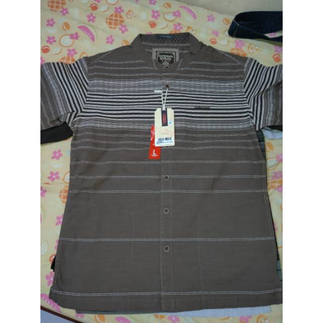 Koko tangan pendek cardinal